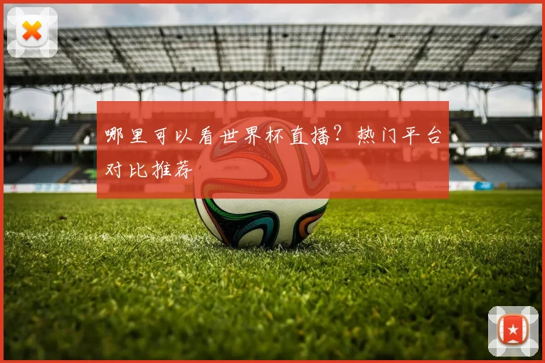 哪里可以看世界杯直播？热门平台对比推荐