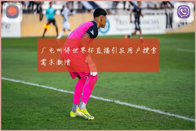 广电叫停世界杯直播引发用户搜索需求激增