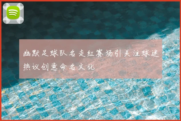 幽默足球队名走红赛场引关注球迷热议创意命名文化