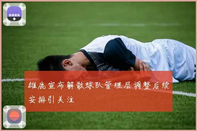 雄鹿宣布解散球队管理层调整后续安排引关注