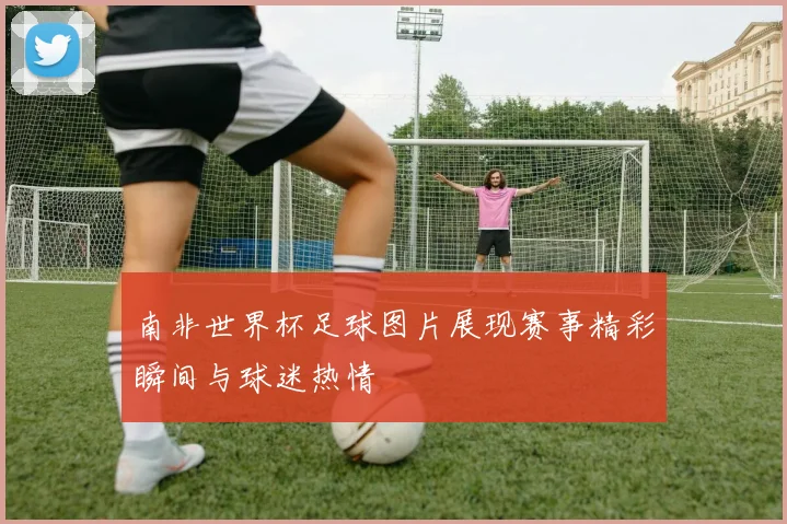 南非世界杯足球图片展现赛事精彩瞬间与球迷热情