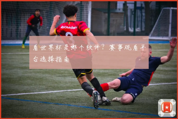 看世界杯是哪个软件?赛事观看平台选择指南