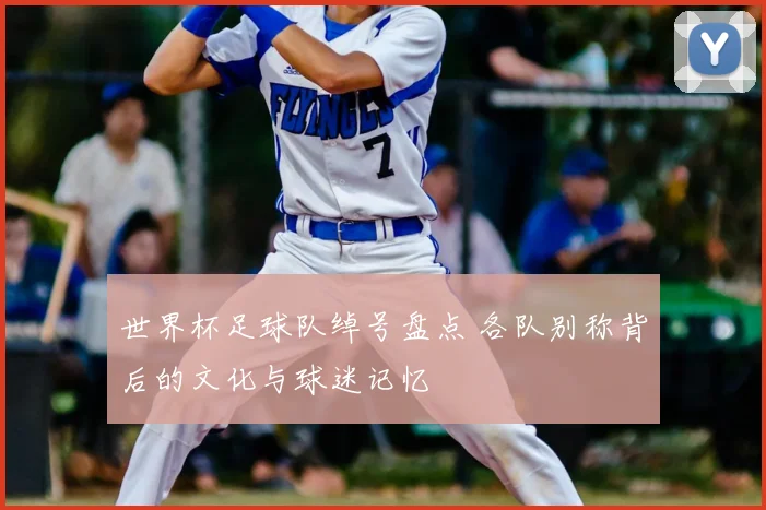 世界杯足球队绰号盘点 各队别称背后的文化与球迷记忆