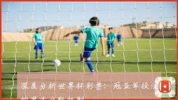深度分析世界杯彩票：冠亚军投注的奖金分配机制