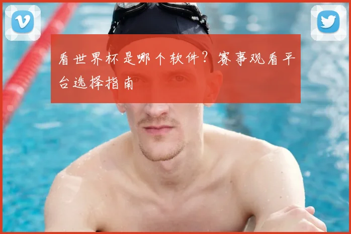 看世界杯是哪个软件？赛事观看平台选择指南